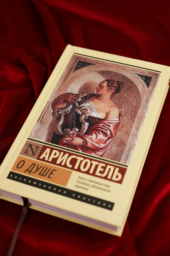 Книга О душе (Аристотель) — 6