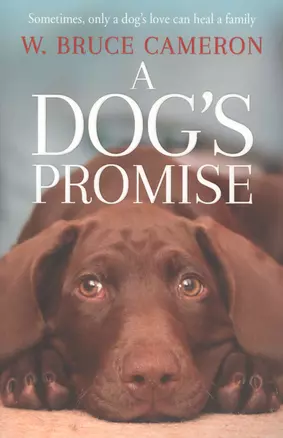 A Dog’s Promise — 2783139 — 1