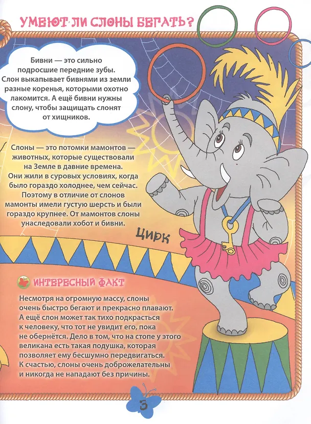 Книга Дикие животные (Ольга Шапина) — 2