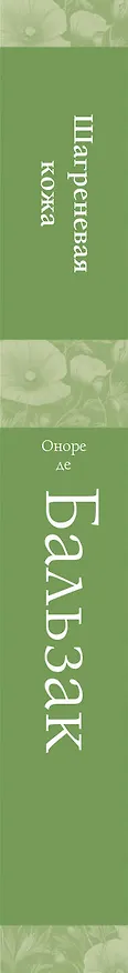 Книга Шагреневая кожа (Оноре де Бальзак) — 5