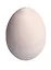 Яйцо среднее (h 7 см d 5см) (HY1100001) — 2577726 — 2