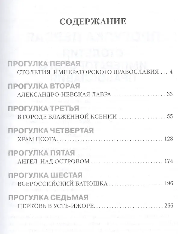 Книга Ангел над городом. (Николай Коняев) — 2