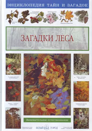 Загадки леса — 2192312 — 1