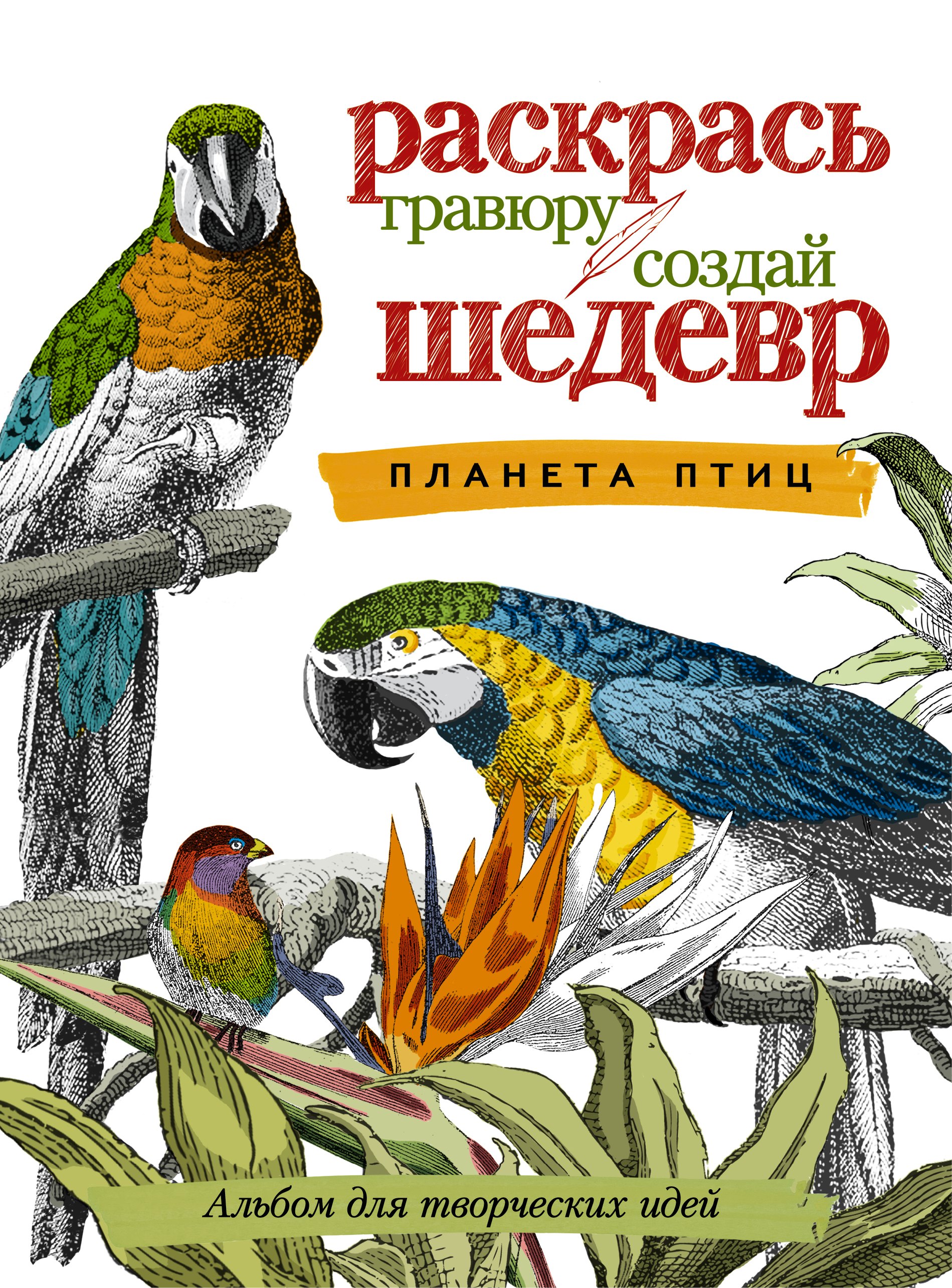 

Планета птиц