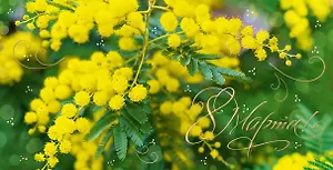 Открытка двойная евро 8 марта [РМ221-0211]