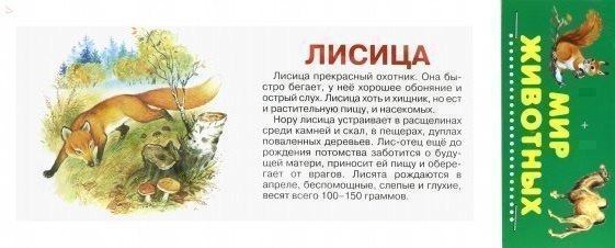 

Мир Животных. Карточки