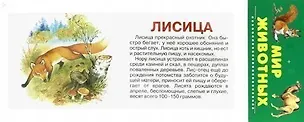 Книга Мир Животных. Карточки ()