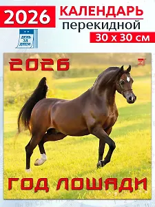 Календарь 2026г 300*300 «Год лошади» настенный, на скрепке