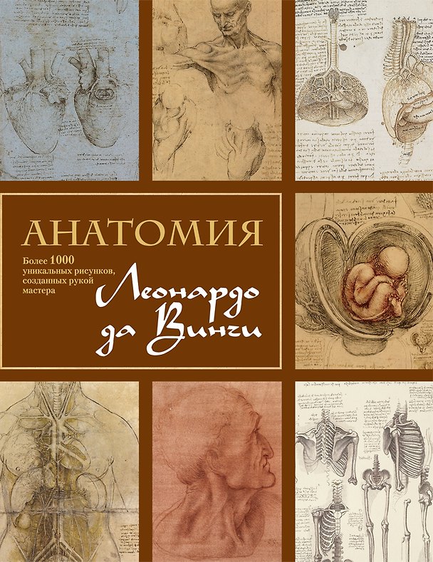Книга Анатомия Леонардо (Мартин Клейтон) — 1