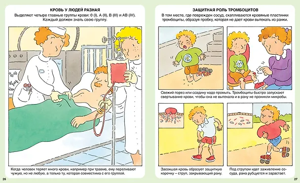 Книга Тело человека (Эмили Бомон, Филипп Симон) — 5