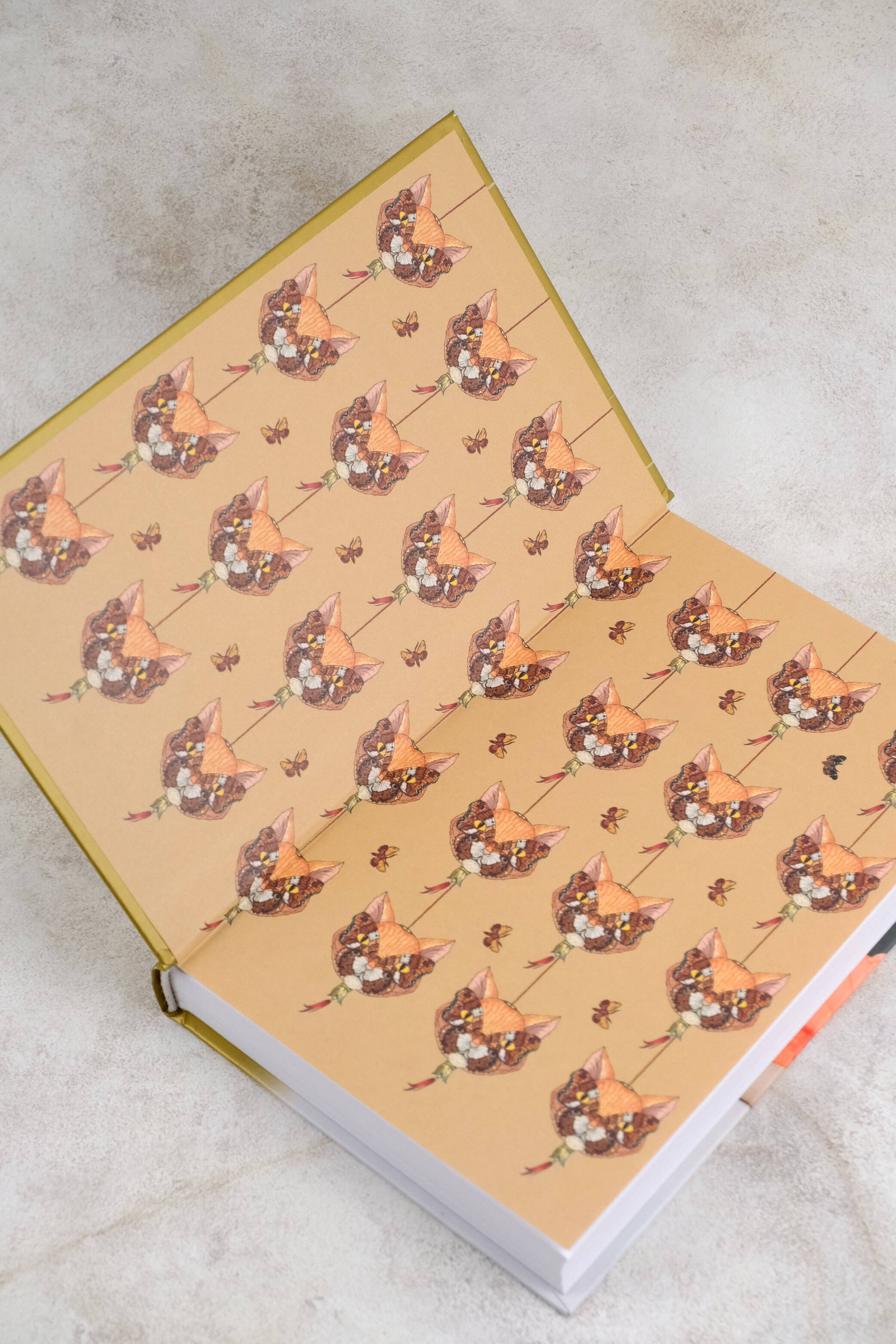 Изображение бумажной книги