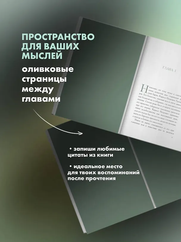Книга Дубровский (Александр Пушкин) — 6