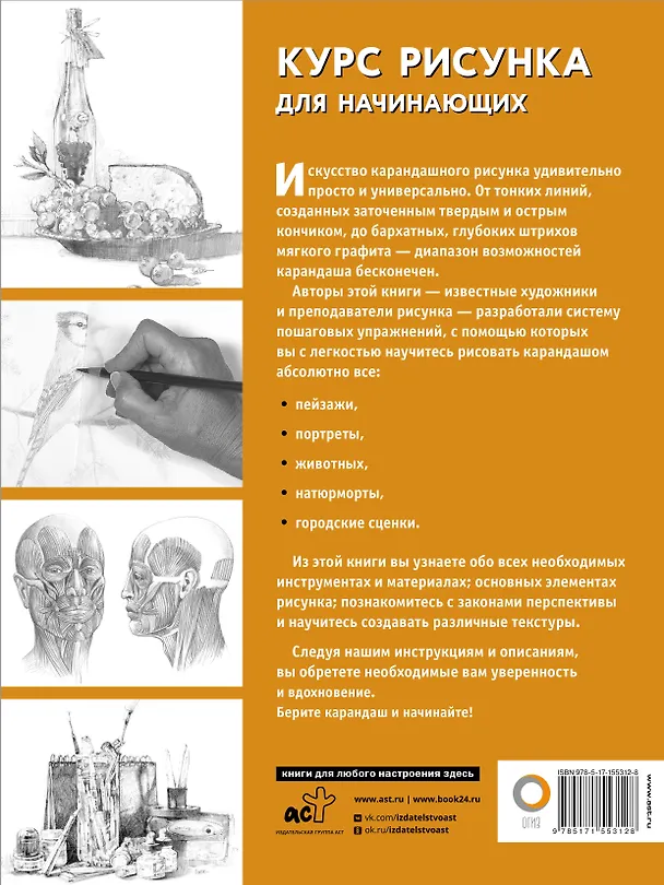 Книга Курс рисунка для начинающих (Диана Кардаччи) — 2