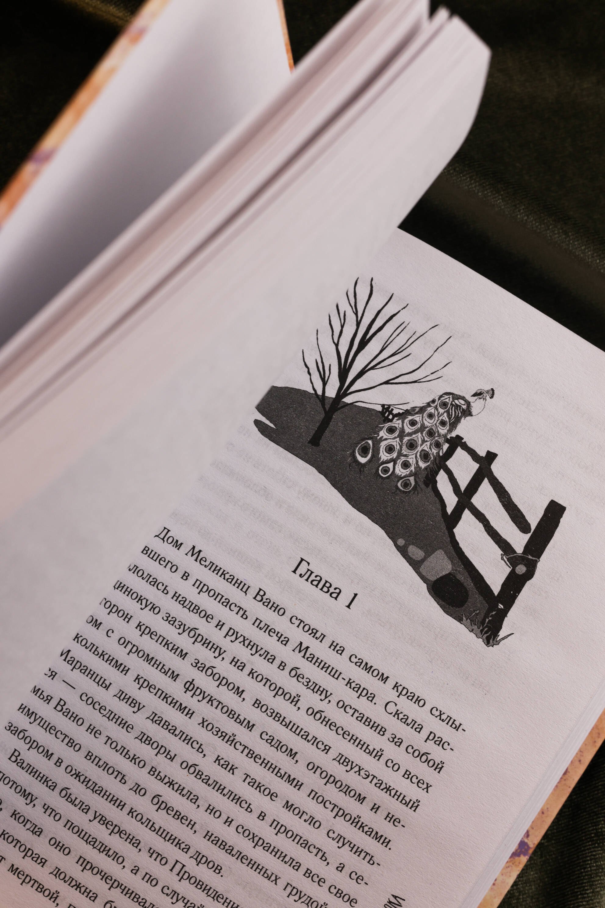 Изображение бумажной книги