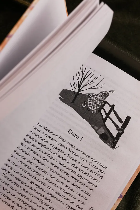 Книга С неба упали три яблока (Наринэ Абгарян) — 11