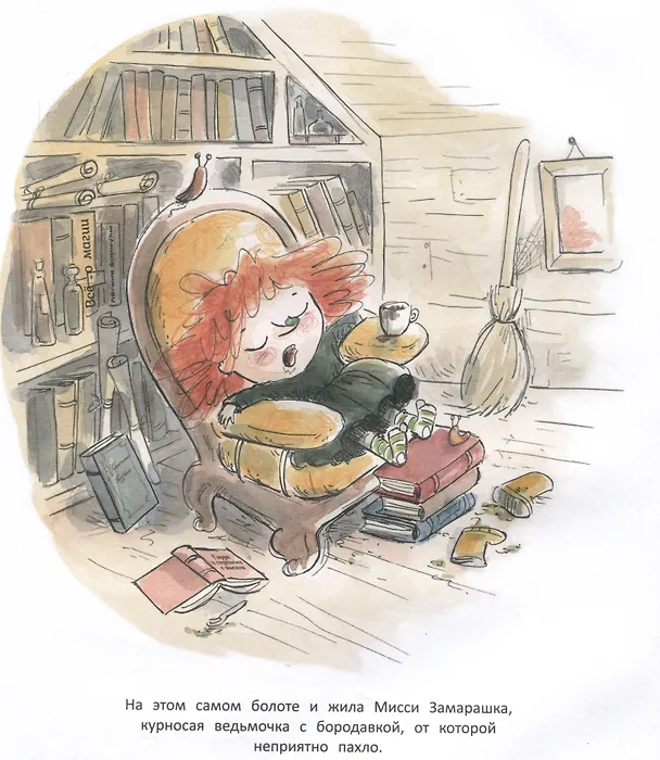 Книга Мисси Замарашка (Сандрин Ламур) — 3