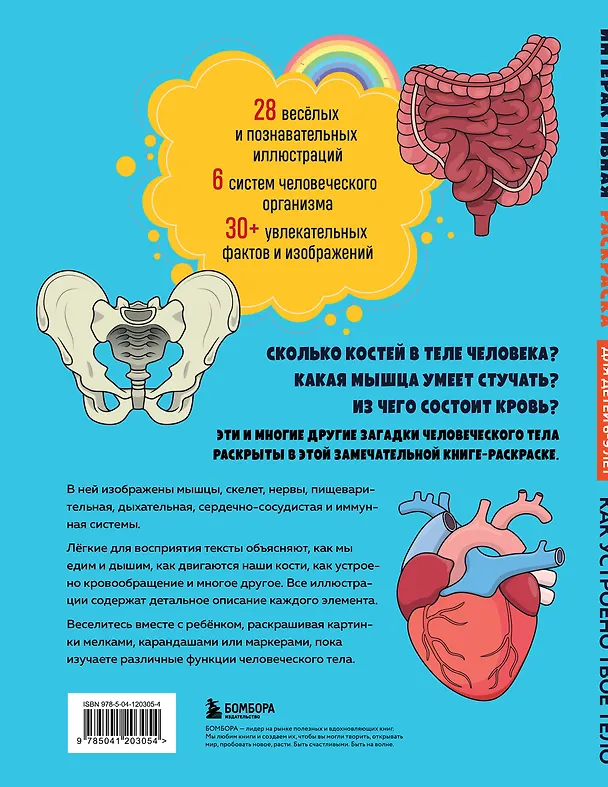 Книга Как устроено твое тело. Интерактивная раскраска () — 2