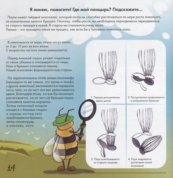Книга Паук - удивительное творение Аллаха (Альфия Харисовна) — 5