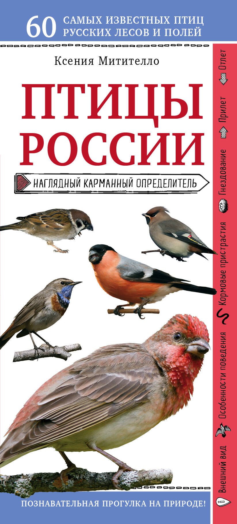 

Птицы России. Наглядный карманный определитель (для ПР)