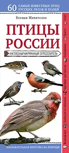 Птицы России. Наглядный карманный определитель (для ПР)