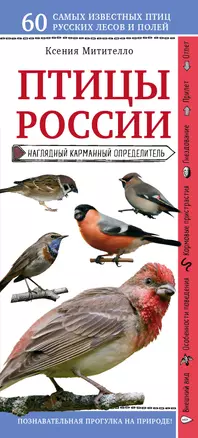 Птицы России. Наглядный карманный определитель — 2990006 — 1