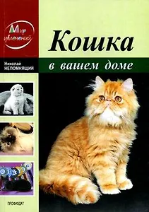 Кошка в вашем доме