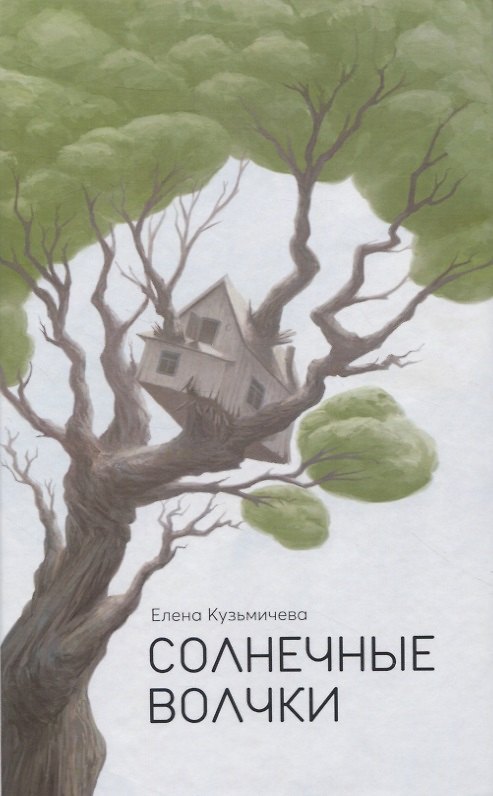 Книга Солнечные волчки (Елена Кузьмичева) — 1