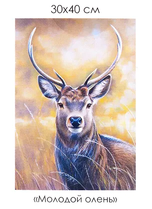 Набор для творчества. Алмазные узоры "Молодой олень", 30 х 40 см 2951169