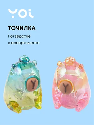 Точилка 1 отверстие, "Капибара", прозрачная, в ассортименте, Yoi 3078083