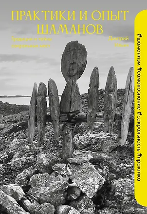 Книга Практики и опыт шаманов. Традиции и тайны сакральных мест (Дмитрий Ильин)