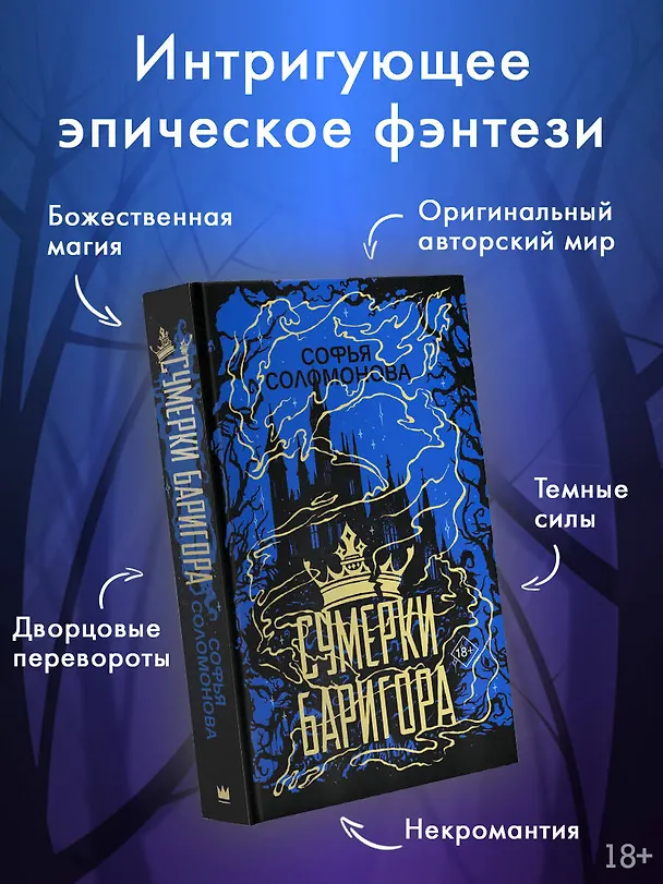 Книга Сумерки Баригора (Софья Соломонова) — 5