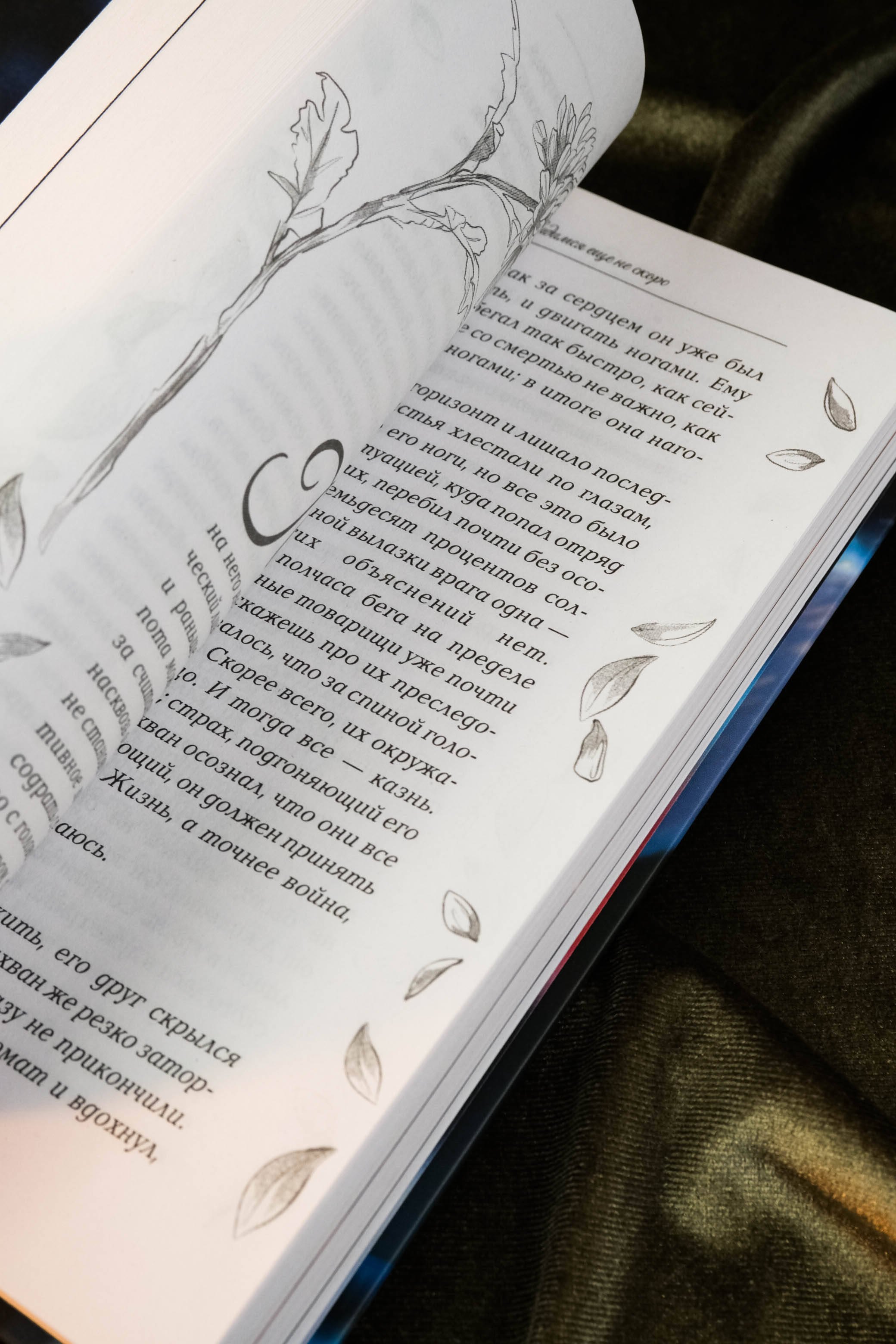 Изображение бумажной книги