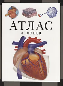 Атлас. Человек