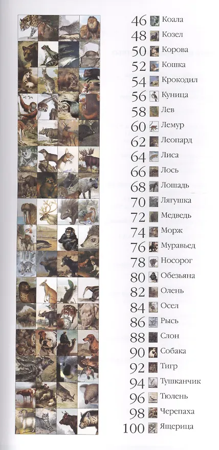 Книга Самые известные животные () — 3