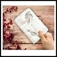 Обложка для паспорта (29053) (133х191) (ПВХ)