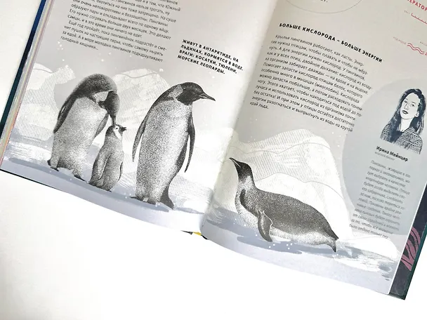 Книга Как дышать под водой? (Ольга Колпакова) — 3