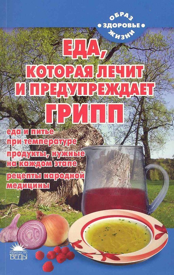 Книга Еда, которая лечит и предупреждает грипп. (Наталья Стрельникова) — 1