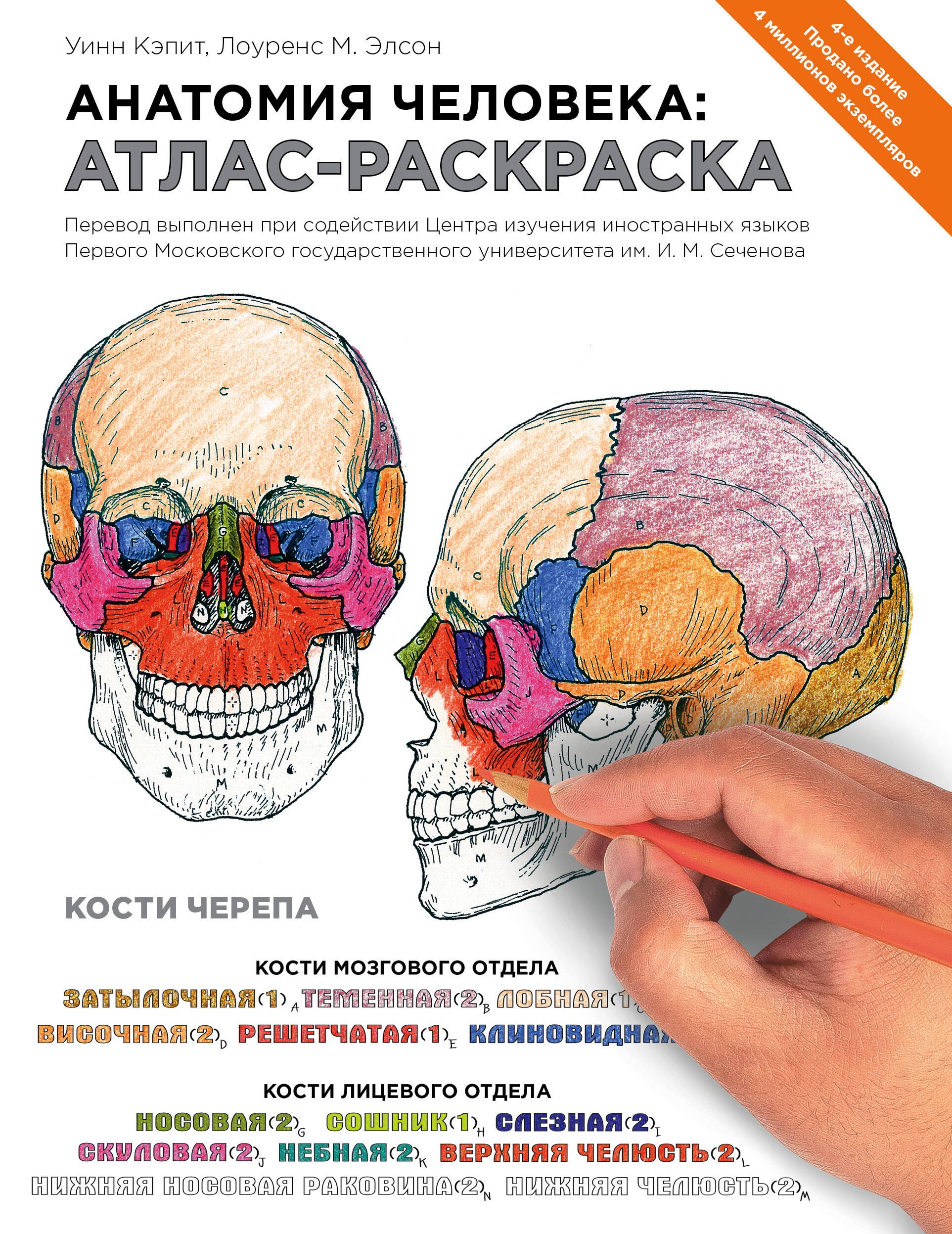 

Анатомия человека: атлас-раскраска. 4 -е изд.