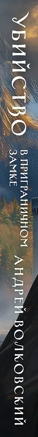 Книга Убийство в приграничном замке (#4) (Андрей Волковский) — 5