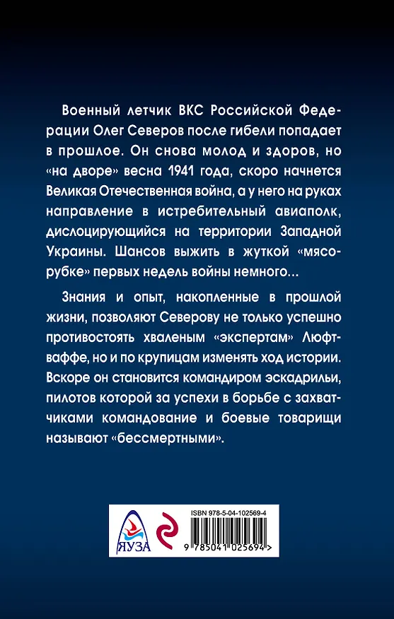 Книга Сталинский сокол. Комэск (Михаил Нестеров) — 2