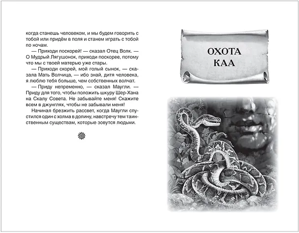 Книга Маугли (Редьярд Киплинг) — 5