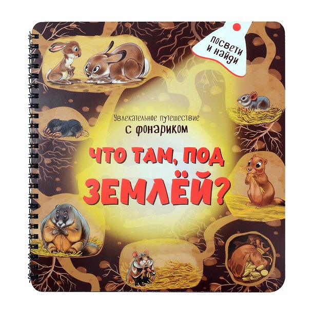 Книга Что там, под Землёй? Увлекательное путешествие с фонариком (Оксана Иванова) — 1