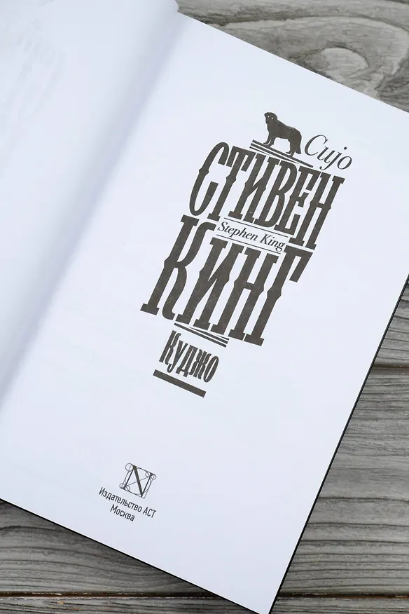 Книга Куджо (Стивен Кинг) — 15