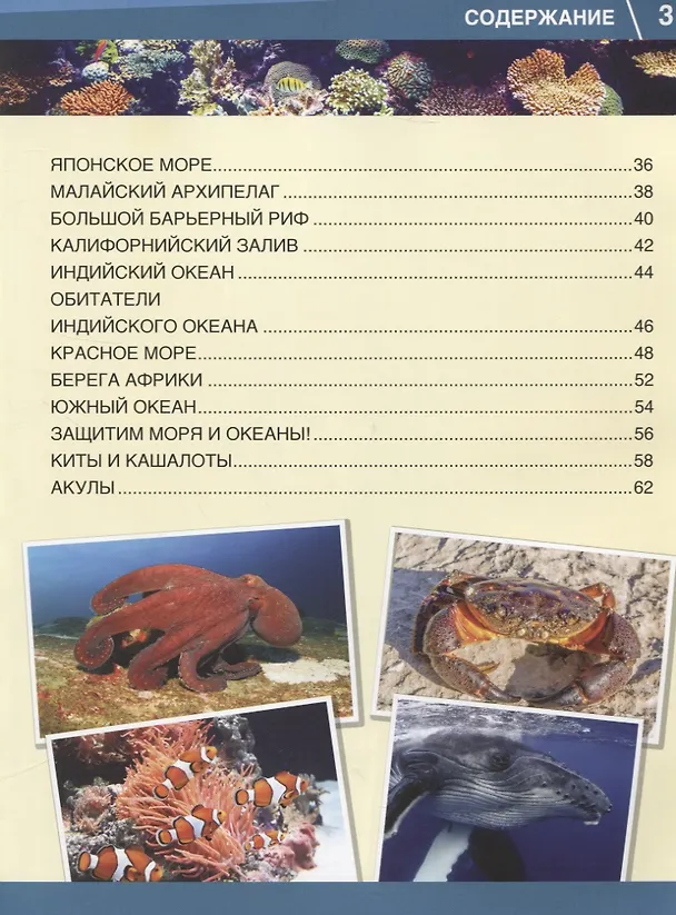 Книга Энциклопедия. Моря и океаны. 365 фактов (В. Алексеев) — 3