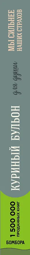 Книга Куриный бульон для души. Мы сильнее наших страхов. 101 история о людях, которые рискнули ради мечты (Эми Ньюмарк) — 3