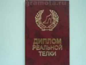 Диплом реальной телки (AE0000615) (Мастер)