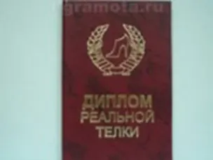 Диплом реальной телки (AE0000615) (Мастер) 2304921