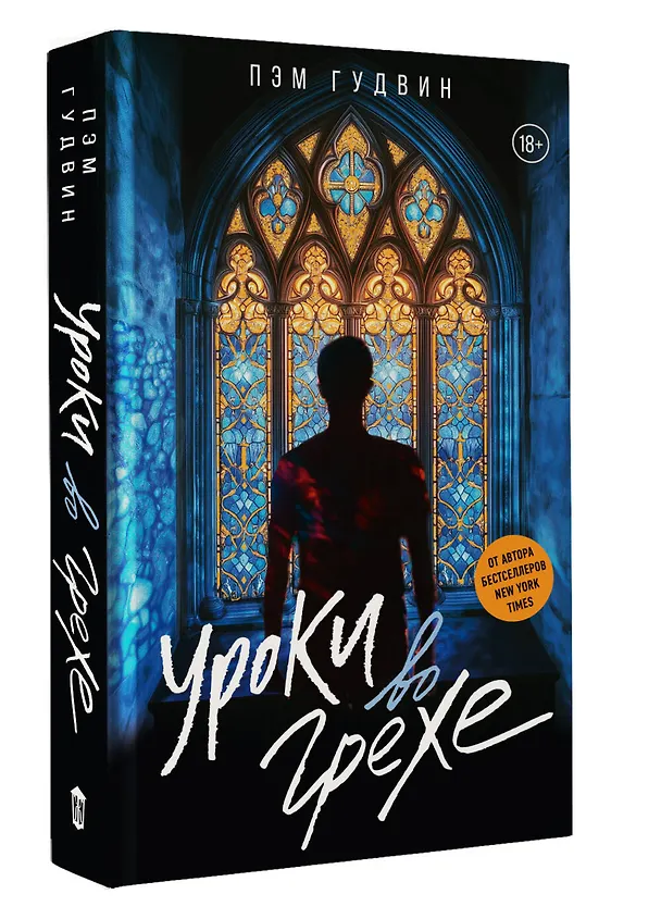 Книга Уроки во грехе (Пэм Гудвин) — 5