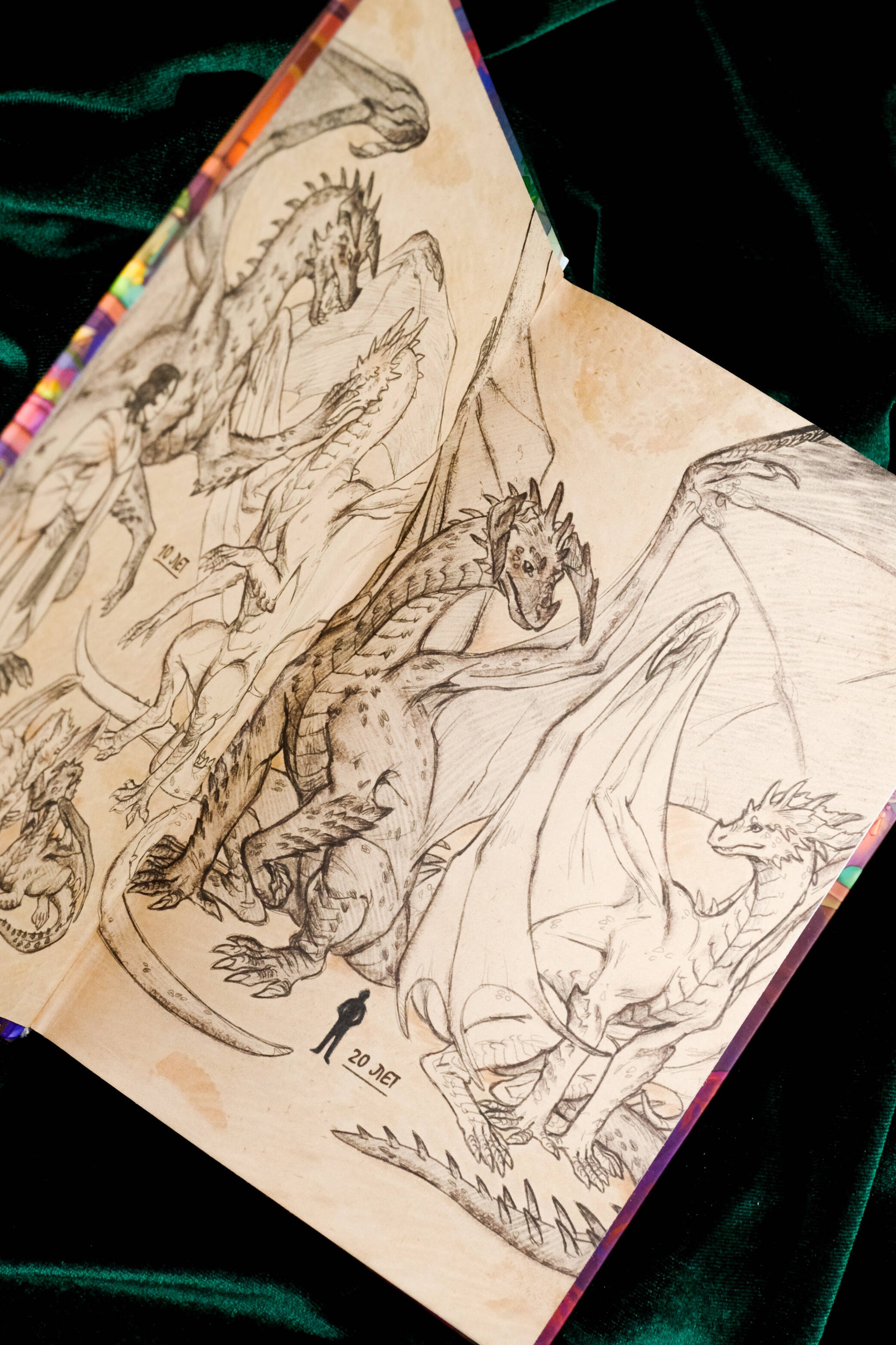 Изображение бумажной книги