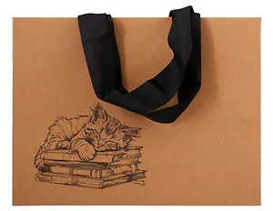 Пакет А5 21*27,5*8 "Книгочей" крафт, горизонт., жен.